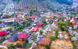 Cuộc thi ảnh đẹp Yên Châu Năm 2025